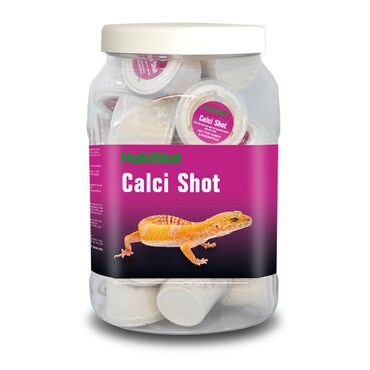 Cricket eating Calci Shot